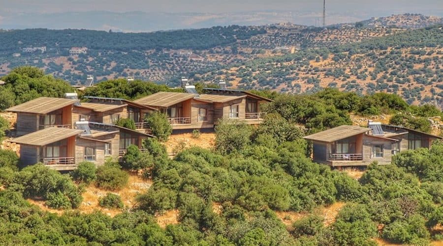 Nature Spots in Jordan: from Wadi Rum to Ajloun and the Dead Sea